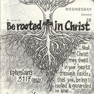 Meet your Posher, Hana